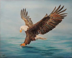 Eagle 300x241 1