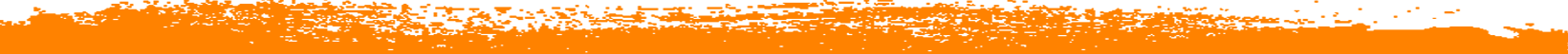 brush-orange-top-wide